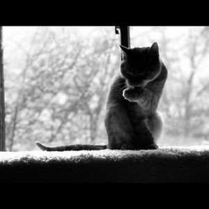 Meet your Posher, Heidi